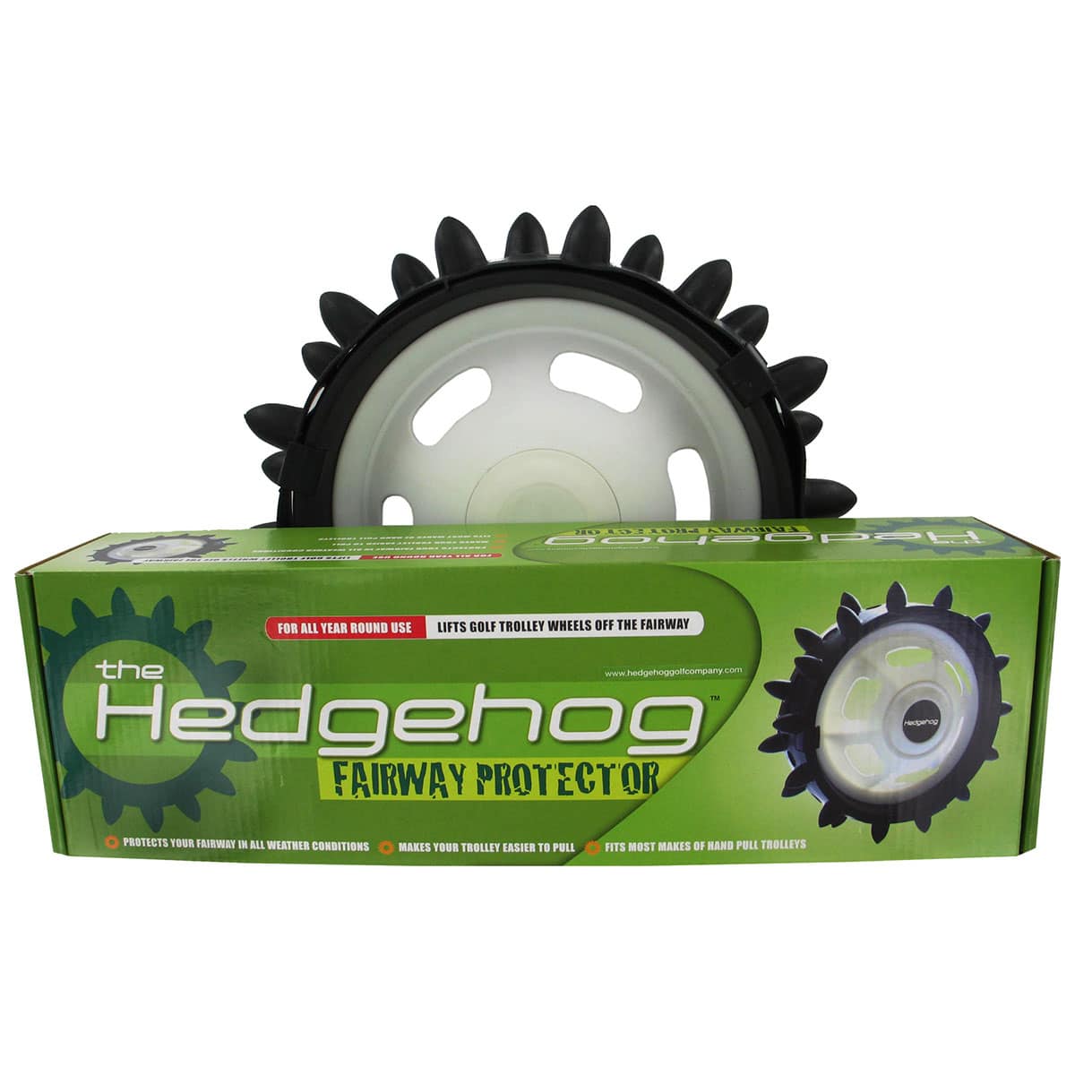 364860-12-hedgehog-1
